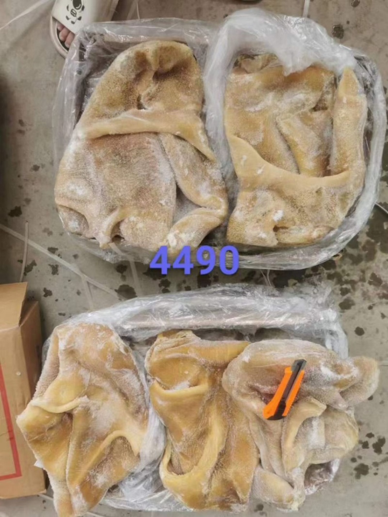 百叶蹄筋短筋牛鞭心片金肚牛肚隔膜骨髓