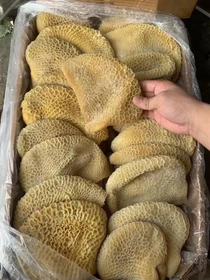 百叶蹄筋短筋牛鞭心片金肚牛肚隔膜骨髓
