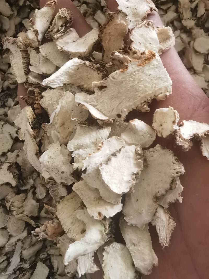 白芨水白级片大统关书药业批发各种规格中药材