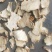 白芨水白级片大统关书药业批发各种规格中药材