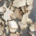 白芨水白级片大统关书药业批发各种规格中药材