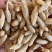 麦冬大量供应保质保量对接全国客商可视频对接欢迎