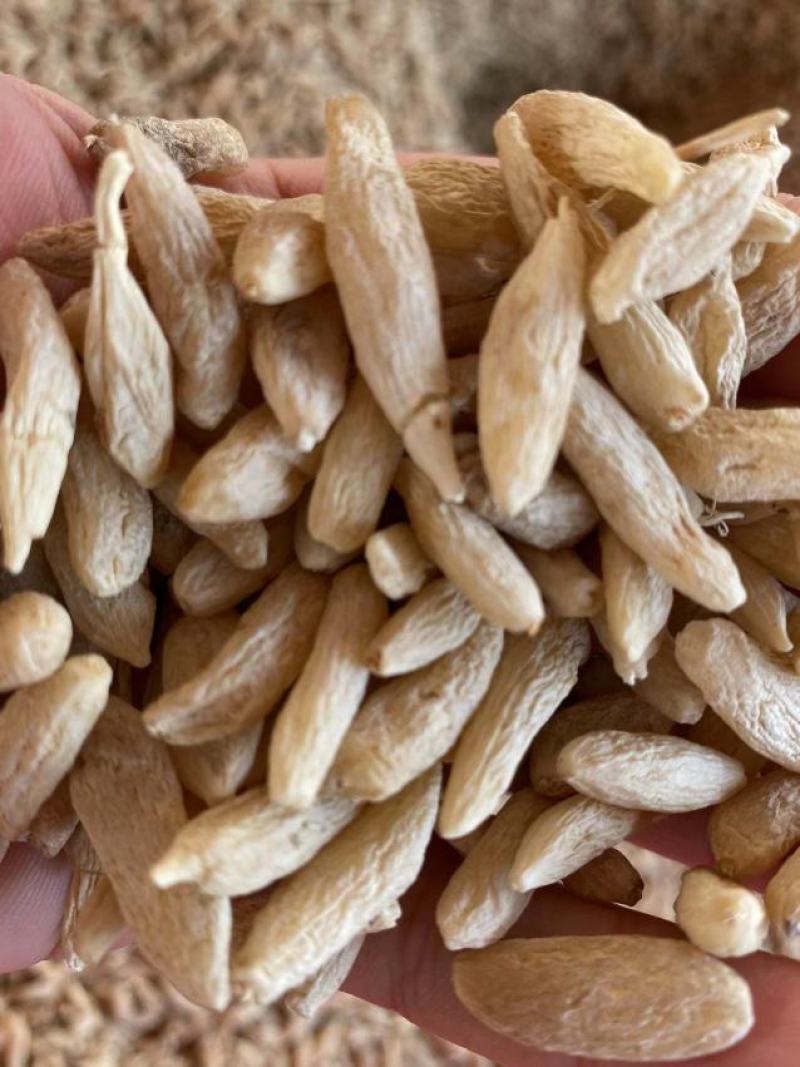 麦冬大量供应保质保量对接全国客商可视频对接欢迎