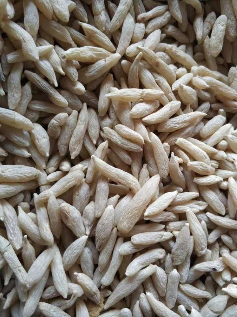 四川绵阳麦冬大量供应保质保量对接全国客商可视频对接