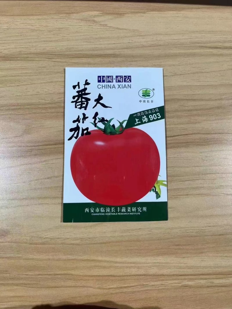 番茄大红上海903