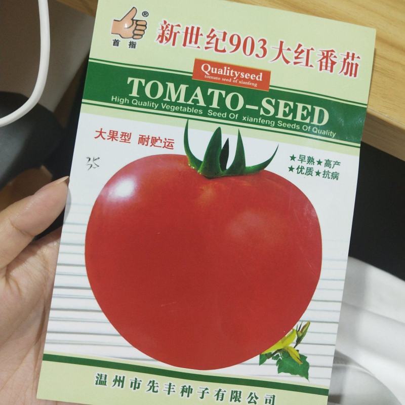 906大红番茄种子大果型早熟高产优质抗病