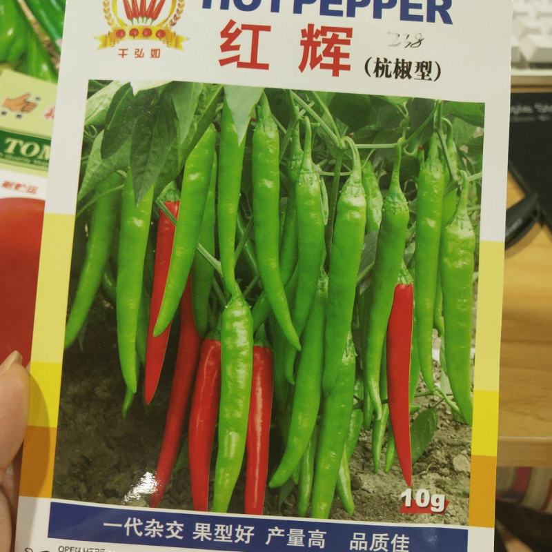 红辉杭椒种子中早熟产量高