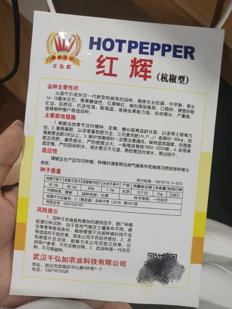 红辉杭椒种子中早熟产量高