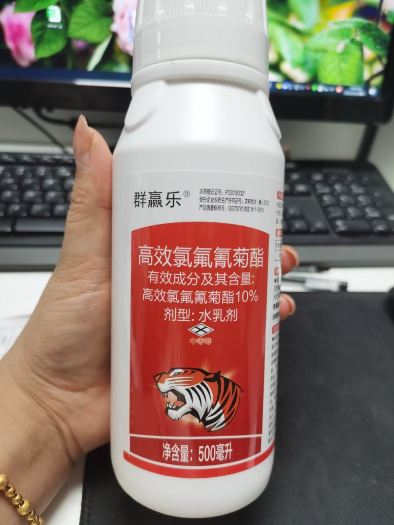 10%高效氯氟氰菊酯水乳剂蚜虫，螨虫，飞虱木虱等