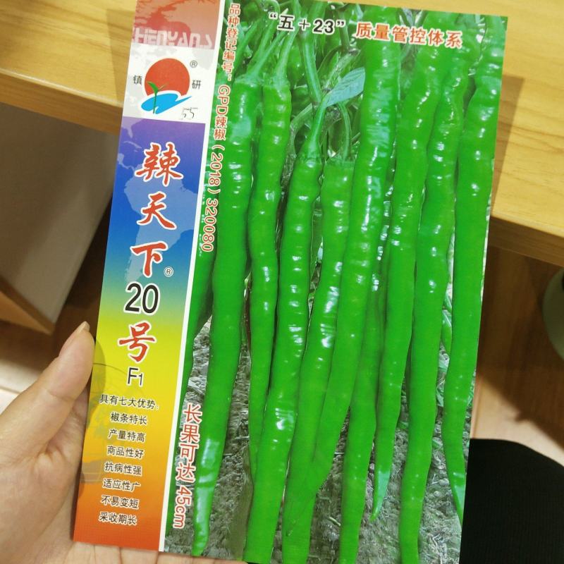 辣天下20号辣椒种子早熟
