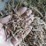 地骨皮统货祥泰药材栈中药材批发零售实物拍摄量多从优欢