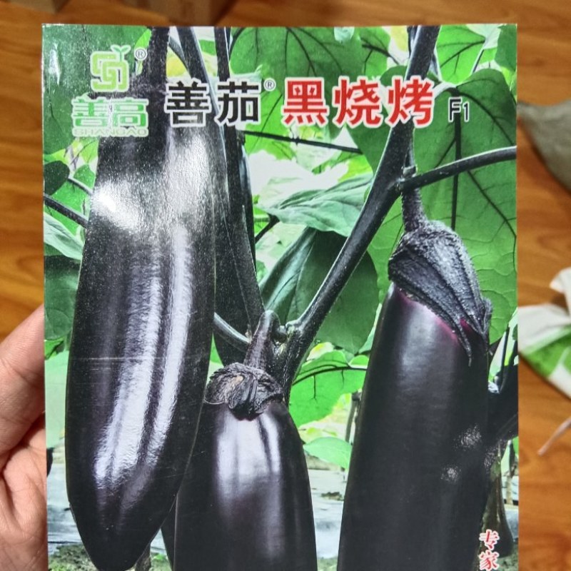 黑烧烤茄子
