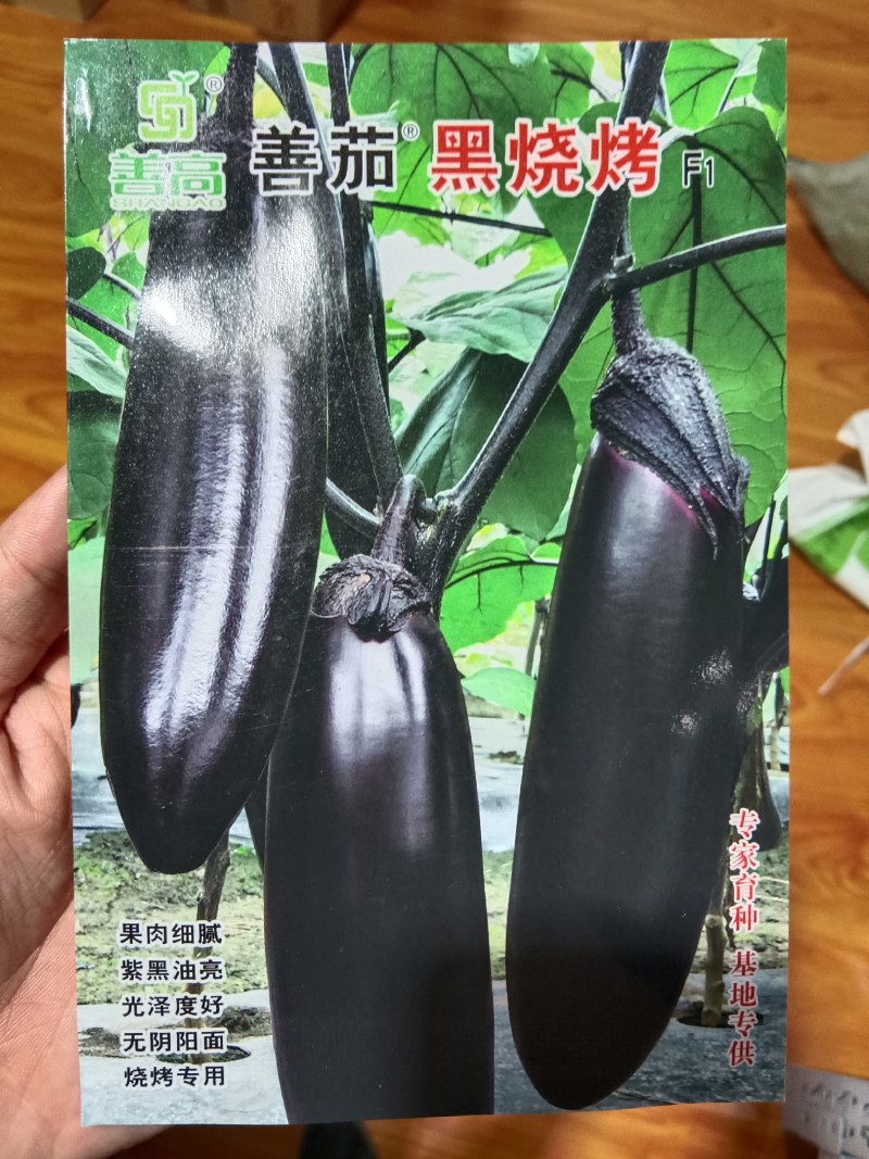 黑烧烤茄子