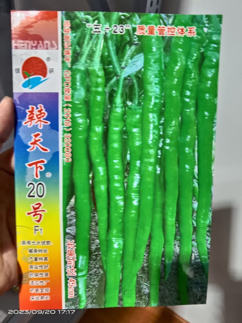 辣天下20号线椒种子