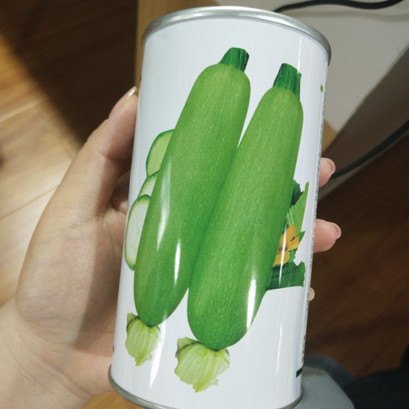 绿莹140西葫芦种子