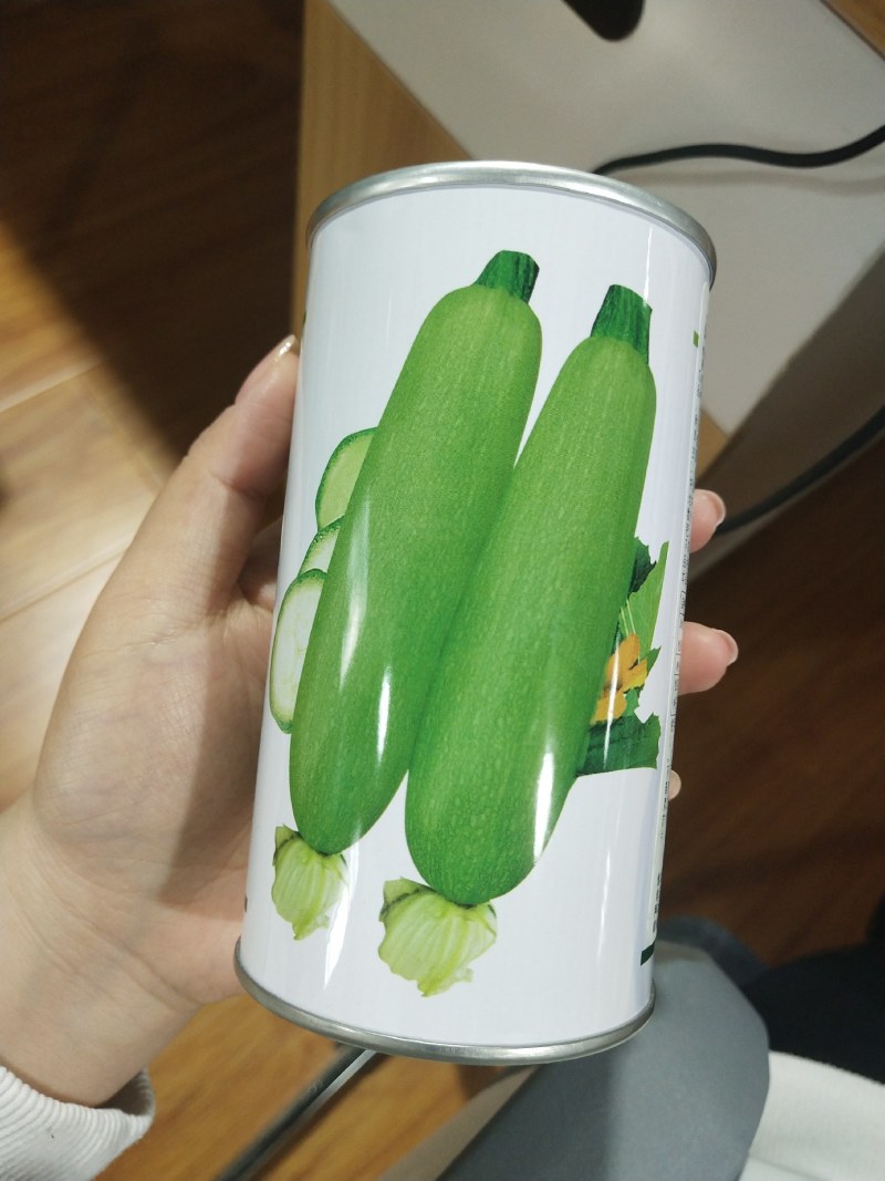 绿莹140西葫芦种子
