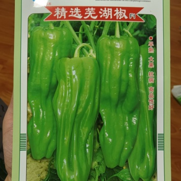 精选芜湖椒