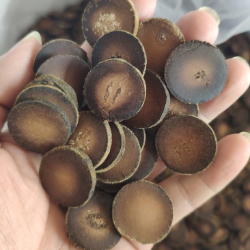精选化州橘红正毛压果片
