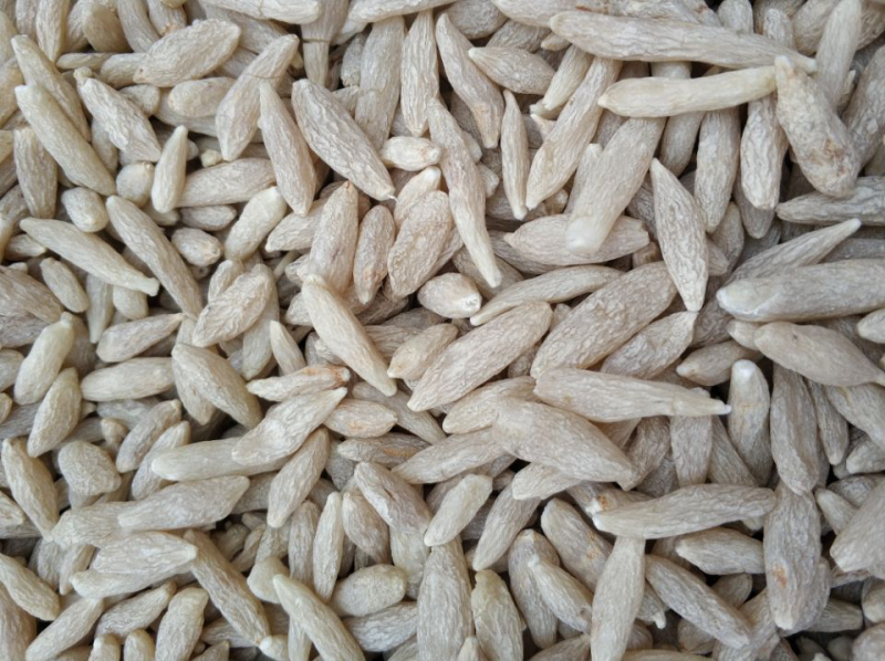 麦冬大量供应保质保量对接全国客商可视频对接欢迎