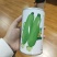 西葫芦种子中早熟