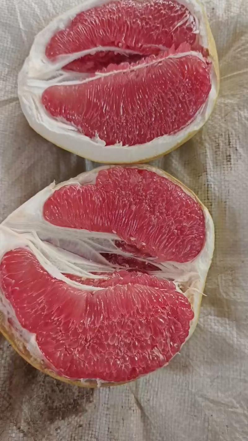 【热卖】福建平和三红柚基地直发物美价廉质量三包