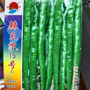 辣天下19号