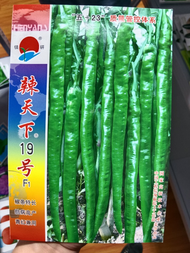 辣天下19号
