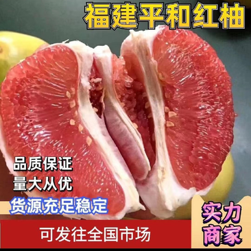 【热卖】福建平和三红柚基地直发物美价廉质量三包