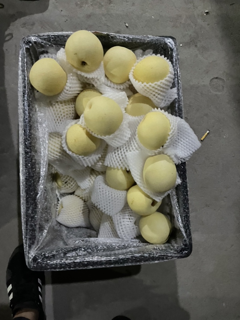 筐装一级皇冠梨
