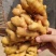 生姜精品小黄姜山东鲜姜产地批发价格美丽需要联系