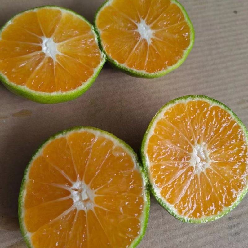 【重磅推荐】湖北蜜橘，早熟蜜橘大量上市，需要的老板电联
