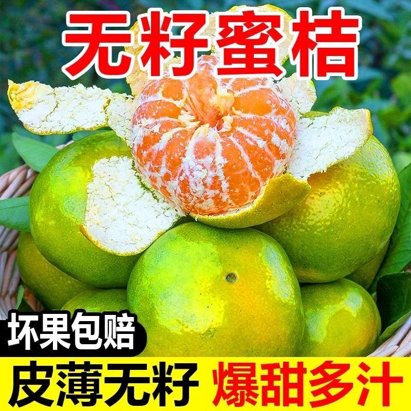 蜜橘高山蜜桔皮薄化渣产地直发可视频看货欢迎咨询