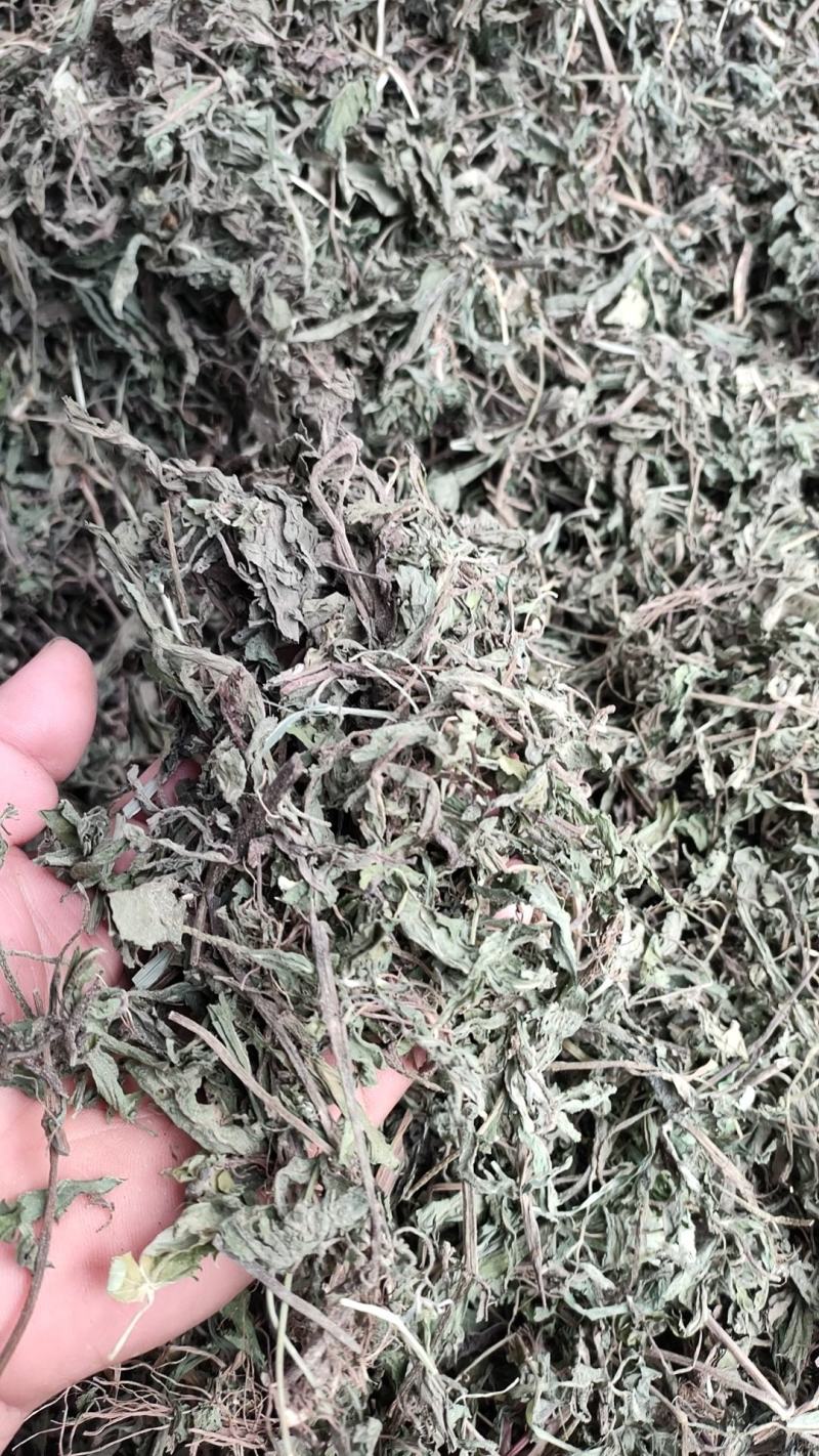 墨旱莲大货，无根无杂草，需要的联系