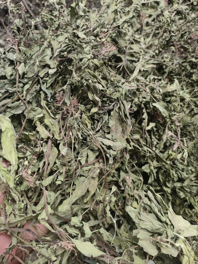 墨旱莲大货，无根无杂草，需要的联系