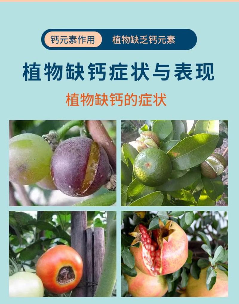 糖醇钙镁补钙补镁防裂果预防黄叶果树蔬菜螯合叶面肥增甜