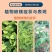 糖醇钙镁补钙补镁防裂果预防黄叶果树蔬菜螯合叶面肥增甜