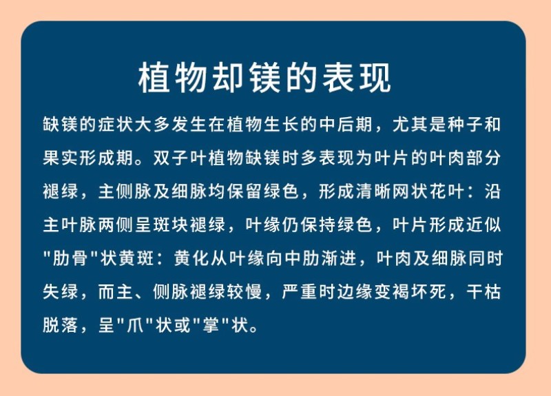 糖醇钙镁补钙补镁防裂果预防黄叶果树蔬菜螯合叶面肥增甜