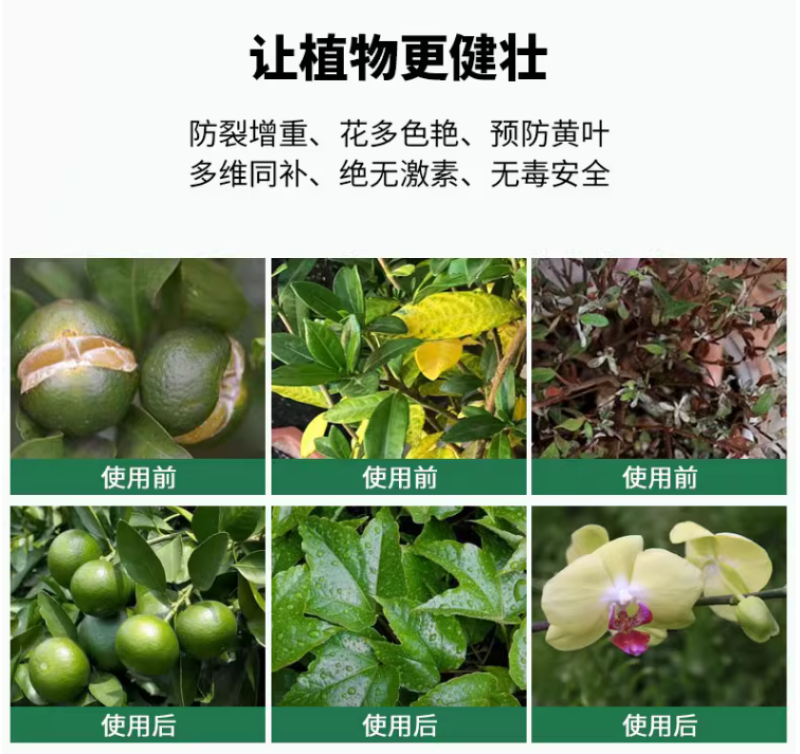 糖醇钙镁补钙补镁防裂果预防黄叶果树蔬菜螯合叶面肥增甜