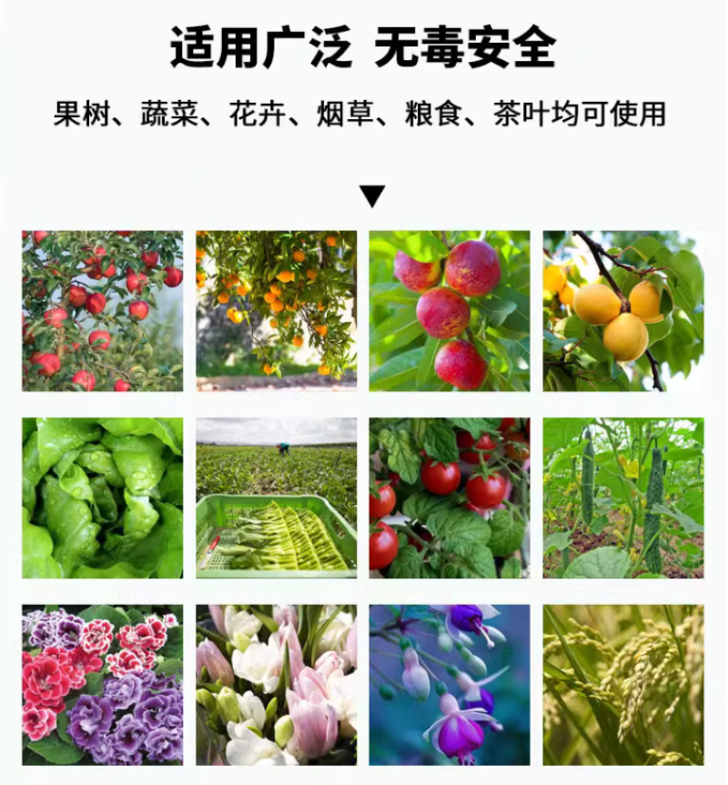 糖醇钙镁补钙补镁防裂果预防黄叶果树蔬菜螯合叶面肥增甜