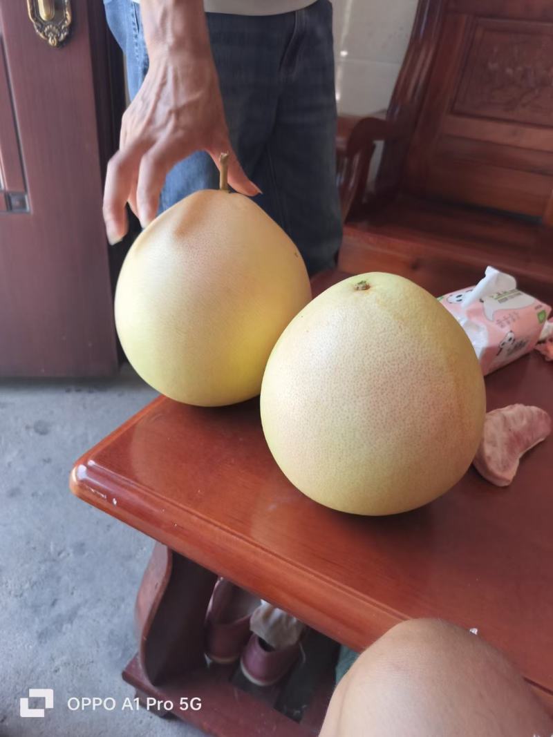 三红柚，红心柚，蜜柚白心柚，沙田柚，广西柚子，