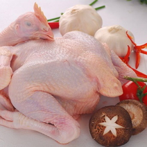 【精品】白条鸡肉对接商超餐饮长期供应工厂直发欢迎致电