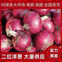 二红洋葱山东滨州惠民优质洋葱产地直供大量有货需要老板