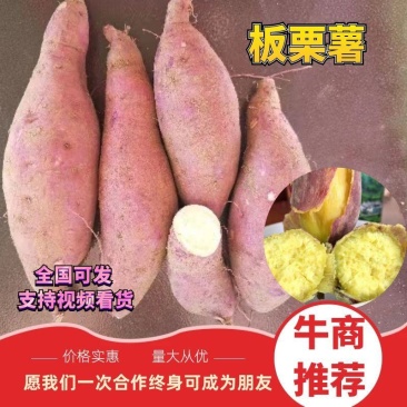 板栗薯济二六，窖藏反季节，视频看货，心动就行动吧