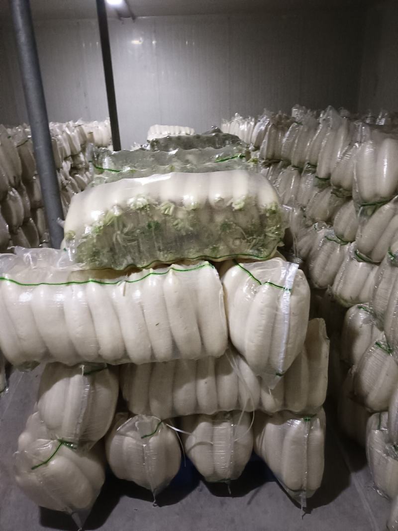 白萝卜大量供应水洗加工发市场电商加工厂