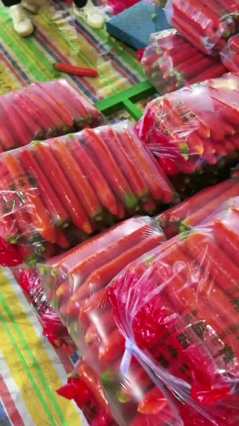 陕西大荔精品称杆红萝卜，条形直，颜色好看产地直发，货源充