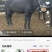 肉马