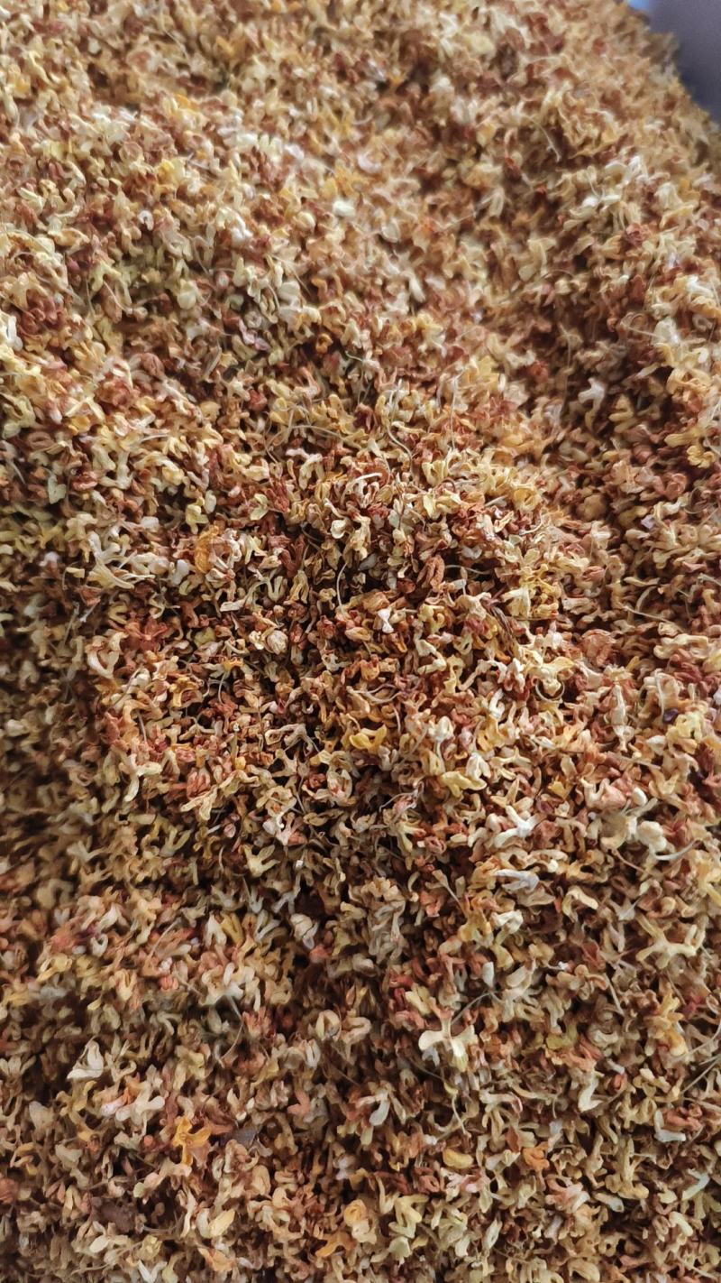 桂花干桂花规格齐全干花质量好价格优量大从优一手货源