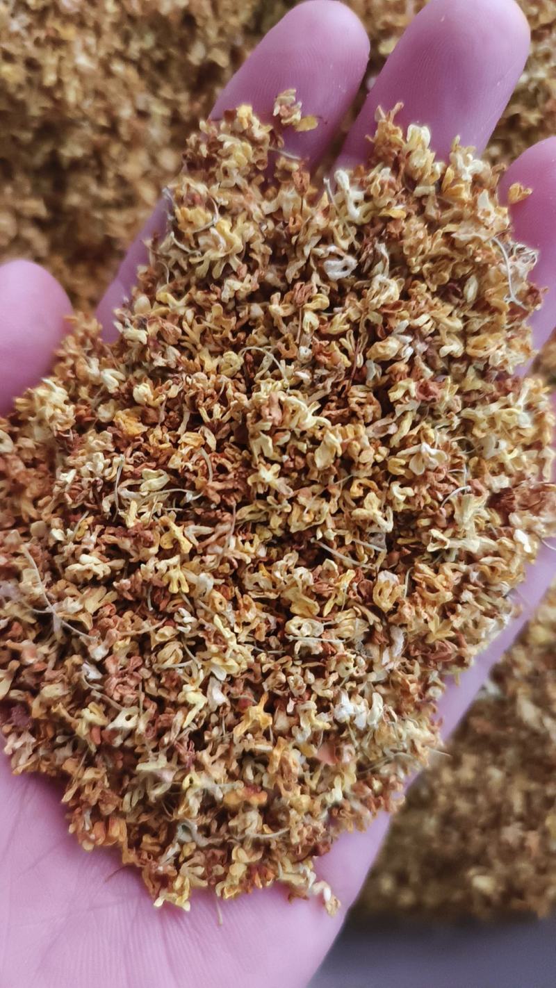 桂花干桂花规格齐全干花质量好价格优量大从优一手货源