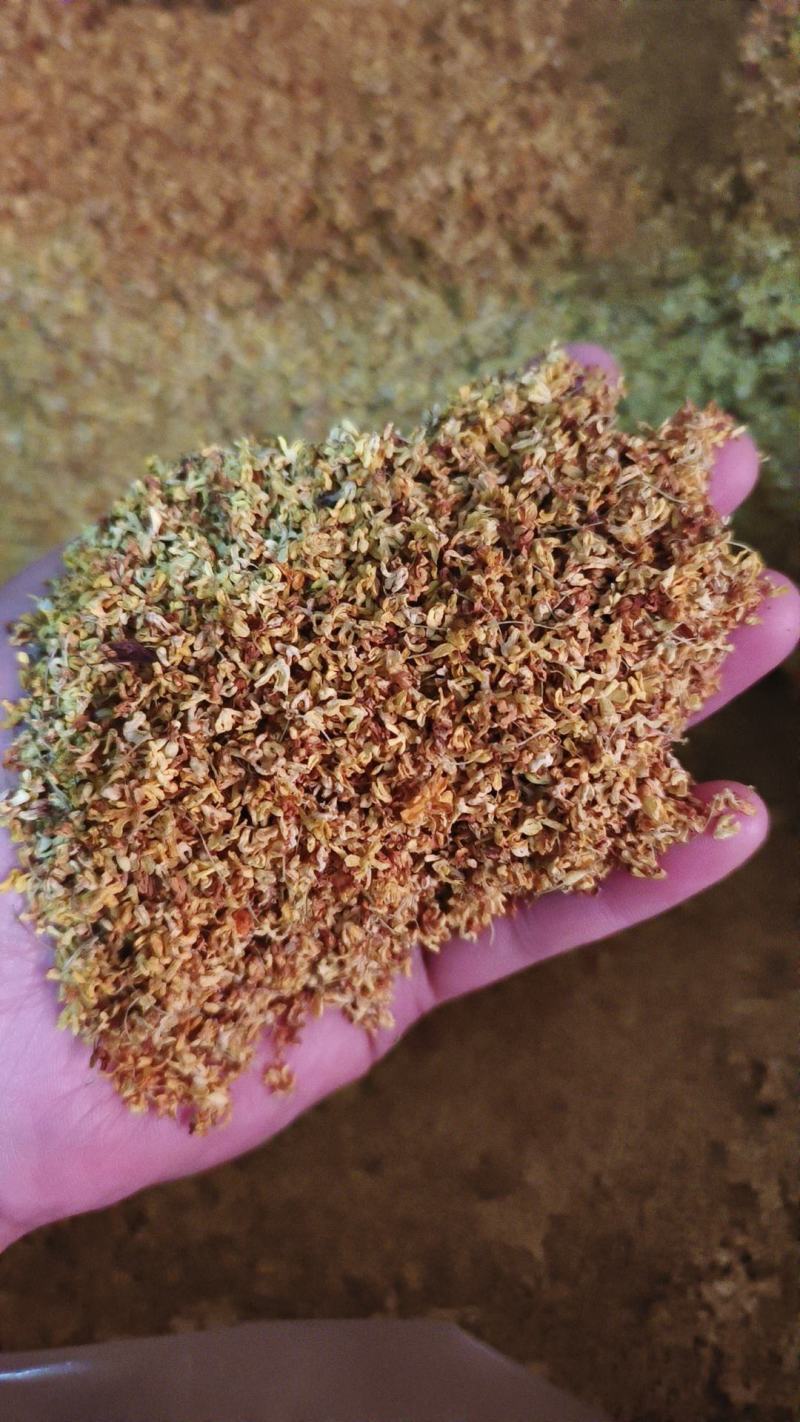 桂花干桂花规格齐全干花质量好价格优量大从优一手货源