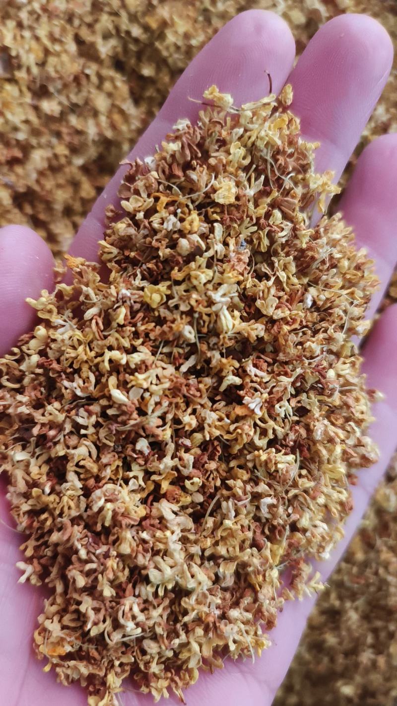 桂花干桂花规格齐全干花质量好价格优量大从优一手货源